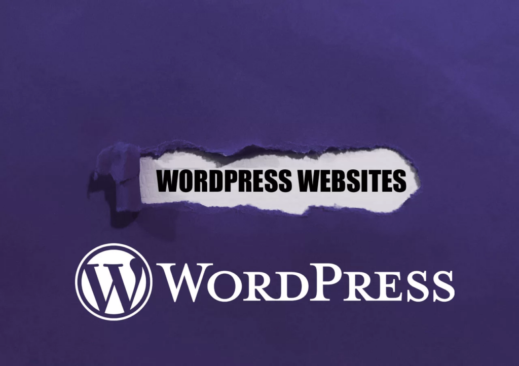 WordPress the Most Popular Platform for Website Development
