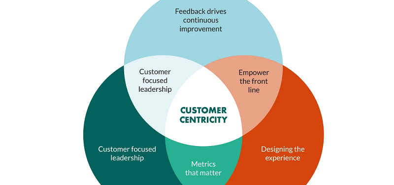 Client-Centric Development
