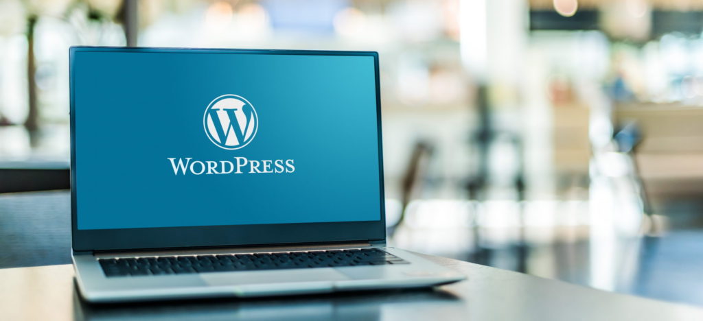 Professional WordPress Development Company